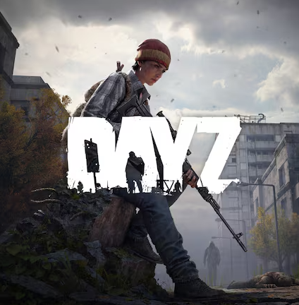 ANC DayZ video